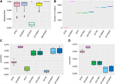 Pangenome graphs in infectious disease: a comprehensive genetic variation analysis of Neisseria meningitidis leveraging Oxford Nanopore long reads